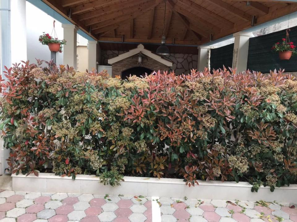 Apartmani Mane Trogir Exterior foto