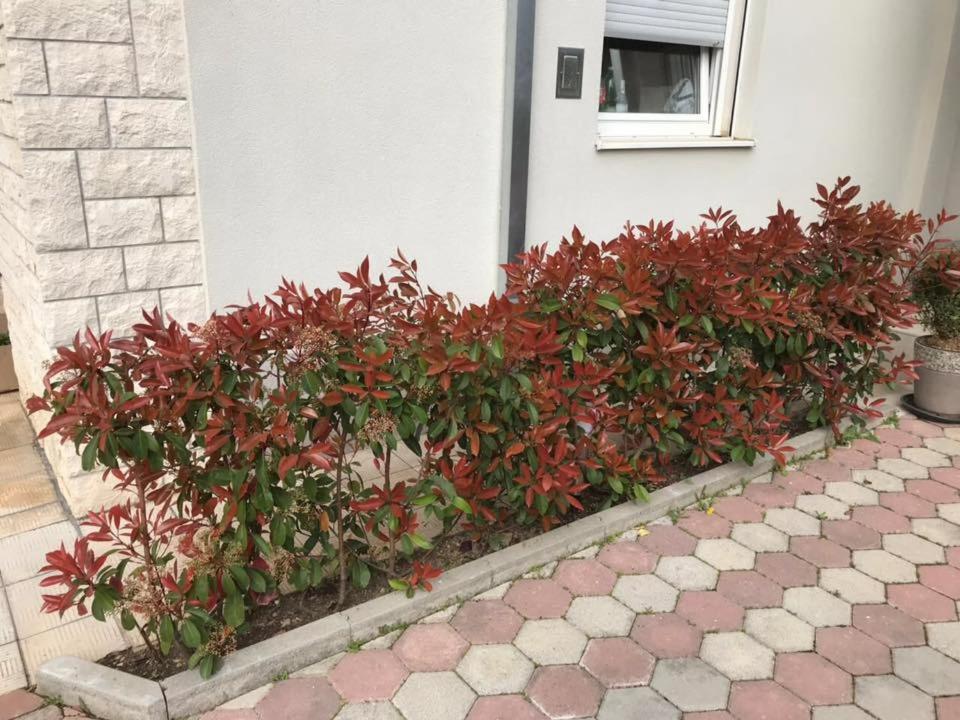 Apartmani Mane Trogir Exterior foto